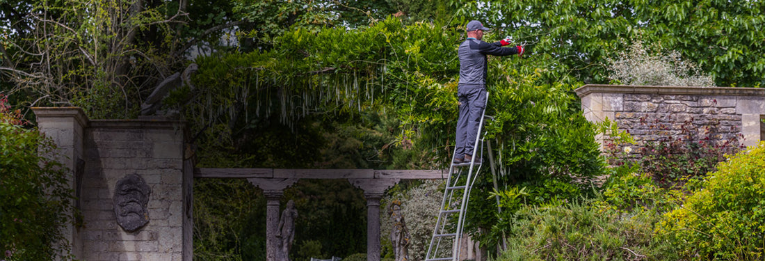 Henchman Ladders and Platforms