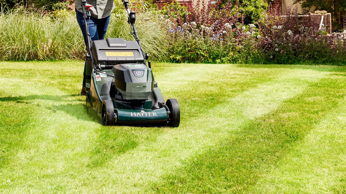 Rear Roller Rotary Lawnmowers buy in stock